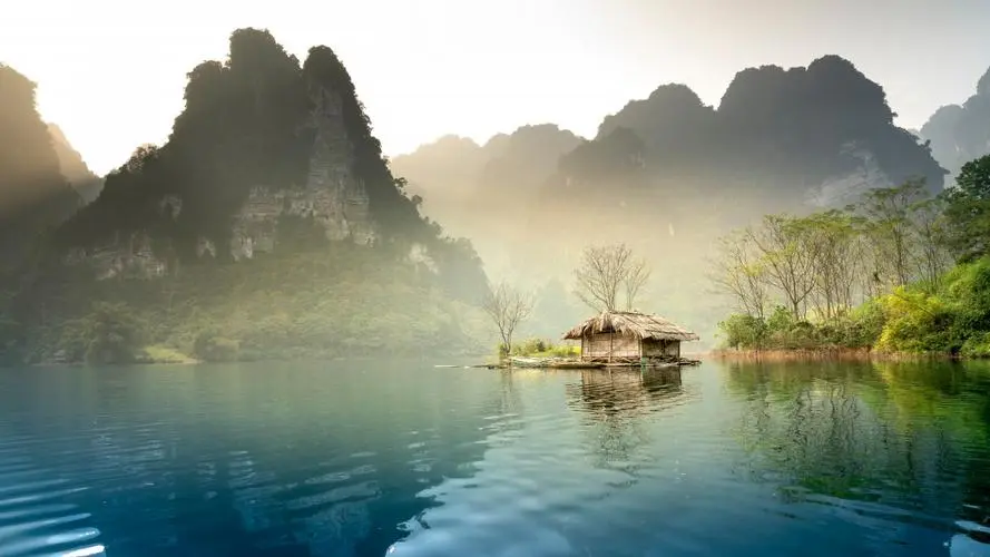 绿色高性能独特